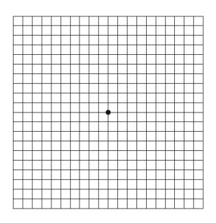 Amsler grid 